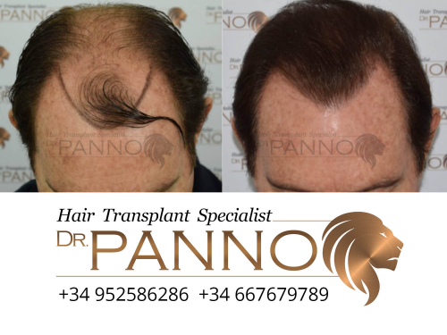 www.drpanno.com